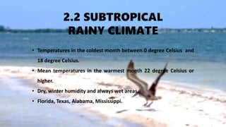 2.2 SUBTROPICAL
RAINY CLIMATE
• Temperatures in the coldest month between 0 degree Celsius and
18 degree Celsius.
• Mean temperatures in the warmest month 22 degree Celsius or
higher.
• Dry, winter humidity and always wet areas.
• Florida, Texas, Alabama, Mississippi.
 