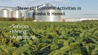 Three (3) Economic Activities in
Alaska & Hawaii
• Services
• Mining
• Agricultural
 
