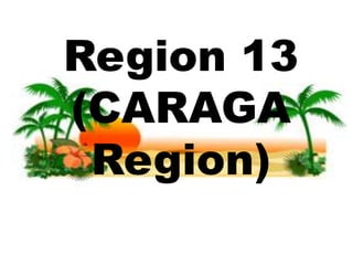 Region 13
(CARAGA
Region)
 