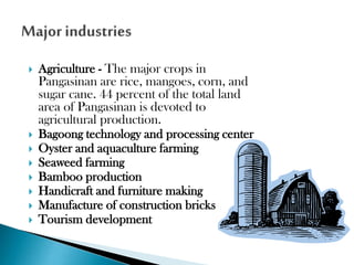 









Agriculture - The major crops in
Pangasinan are rice, mangoes, corn, and
sugar cane. 44 percent of the total land
area of Pangasinan is devoted to
agricultural production.
Bagoong technology and processing center
Oyster and aquaculture farming
Seaweed farming
Bamboo production
Handicraft and furniture making
Manufacture of construction bricks
Tourism development

 
