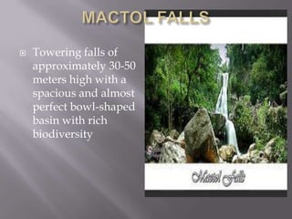  Towering falls of
approximately 30-50
meters high with a
spacious and almost
perfect bowl-shaped
basin with rich
biodiversity
 