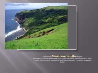 The famous hills where all tour guides could talk about Batanes.
There were wild animals, a spectacular view -- which unavoidably makes the Marlboro theme.
From the hills, you can see what remains of the Old Loran Station, a former US navigational
facility.
 