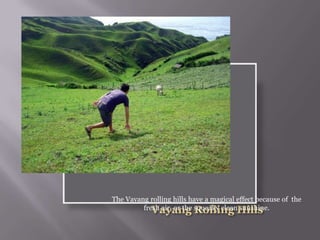 The Vayang rolling hills have a magical effect because of the
fresh air, or the squeaky clean sunshine.
 
