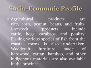  Agricultural products are
rice, corn, peanut, beans, and fruits.
Livestock products include
cattle, hogs, carabaos, and poultry.
Fishing various species of fish from the
coastal towns is also undertaken.
Woodcraft furniture made of
hardwood, rattan, bamboo, and other
indigenous materials are also available
in the province.
 