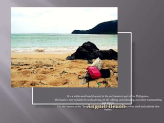 It is a white sand beach located in the northeastern part of the Philippines.
The beach is very suitable for scuba diving, jet ski ridding, motorboating, and other watercrafting
and sports.
It is also known as the "Boracay of the North" for having the fine white sand and pristine blue
waters.
 