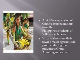  Amid the suspension of
Chinese banana imports
from the
Philippines, students of
Villaverde, Nueva
 Vizcaya showcase their
town’s major agricultural
product during the
province’s Grand
Ammungan Festival
 
