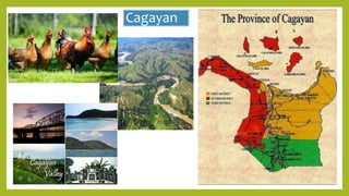 Cagayan
 
