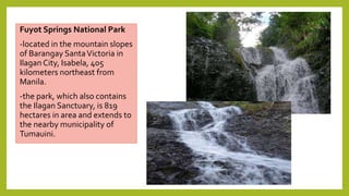 Fuyot Springs National Park
-located in the mountain slopes
of Barangay SantaVictoria in
Ilagan City, Isabela, 405
kilometers northeast from
Manila.
-the park, which also contains
the Ilagan Sanctuary, is 819
hectares in area and extends to
the nearby municipality of
Tumauini.
 