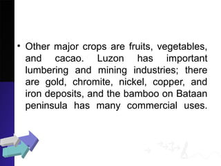 • Other major crops are fruits, vegetables,
and cacao. Luzon has important
lumbering and mining industries; there
are gold, chromite, nickel, copper, and
iron deposits, and the bamboo on Bataan
peninsula has many commercial uses.
 