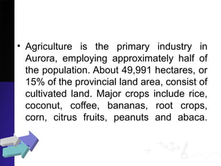 • Agriculture is the primary industry in
Aurora, employing approximately half of
the population. About 49,991 hectares, or
15% of the provincial land area, consist of
cultivated land. Major crops include rice,
coconut, coffee, bananas, root crops,
corn, citrus fruits, peanuts and abaca.
 