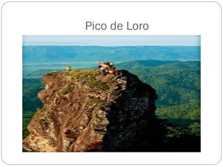 Pico de Loro
 