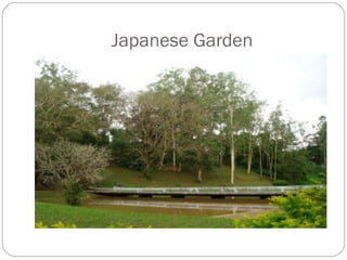 Japanese Garden
 