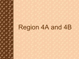 Region 4A and 4B 
 