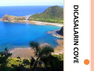 DICASALARINCOVE
 