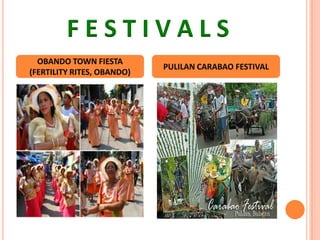 F E S T I V A L S
OBANDO TOWN FIESTA
(FERTILITY RITES, OBANDO)
PULILAN CARABAO FESTIVAL
 