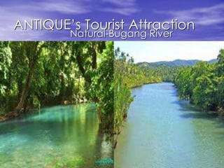ANTIQUE’s Tourist Attraction 
Natural-Bugang River 
 