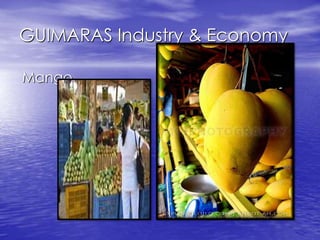 GUIMARAS Industry & Economy 
Mango 
 