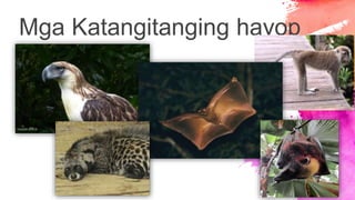 Mga Katangitanging hayop
 