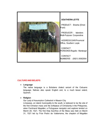 SOUTHERN LEYTE
PRODUCT : Brasha (Dried
Pusit)
PRODUCER : Islanders
Multi-Purpose Cooperative
ADDRESS:DAR Provincial
Office, Southern Leyte
CONTACT
PERSON/S:Rogelio Manlangit
CONTACT
NUMBER/S : (0921) 9582954
CULTURE AND BELIEFS
 Language
The native language is a Boholano dialect variant of the Cebuano
language. Natives also speak English and, to a much lesser extent,
Spanish.
 Religion
Our Lady of Assumption Cathedral in Maasin City
Limasawa, an island municipality to the south, is believed to be the site of
the first Christian mass and the birthplace of Christianity in the Philippines,
when Ferdinand Magellan, a Portuguese navigator and explorer landed on
March 28, 1521. The first Holy Sacrifice of the Mass was held on March
31, 1521 led by Friar Pedro de Valderrama, the chaplain of Magellan
 