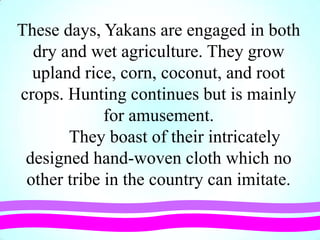 These days, Yakans are engaged in both
dry and wet agriculture. They grow
upland rice, corn, coconut, and root
crops. Hunting continues but is mainly
for amusement.
They boast of their intricately
designed hand-woven cloth which no
other tribe in the country can imitate.
 