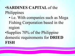 •SARDINES CAPITAL of the
Philippines
• i.e. With companies such as Mega
Fishing Corporation based in the
region
•Supplies 70% of the Philippine
domestic requirements for DRIED
FISH
 