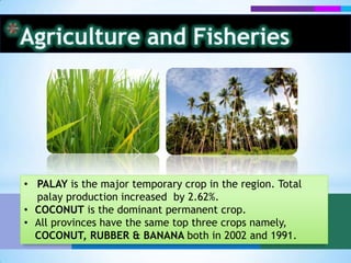 Agriculture and FisheriesThe number and size of farms in each province increased in the span of a decade, implying greater efficiency, growth and reliance on the agricultural sector within the region, despite ongoing commercialization.This was achieved through the Dept. of Agriculture’s interventions such as the distribution of organic fertilizers in Zamboanga del Sur.