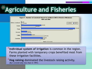 All provinces have the same top three crops namely, COCONUT, RUBBER & BANANA both in 2002 and 1991.Agriculture and FisheriesZamboanga City showed the highest improvement in palayproduction.