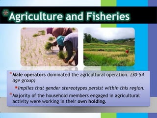 Agriculture and FisheriesRaising of chicken is the primary poultry raising activity. (Zamboanga del Sur contributed most.)Other agricultural activities:Ornamental & flower gardening (excluding orchid) are more common.