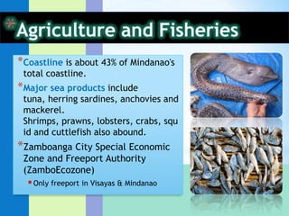 High percentage increases in mushroom culture & sericulture/silk/cocoon activityAgriculture and FisheriesMale operators dominated the agricultural operation. (30-54 age group)Implies that gender stereotypes persist within this region.Majority of the household members engaged in agricultural activity were working in their own holding.