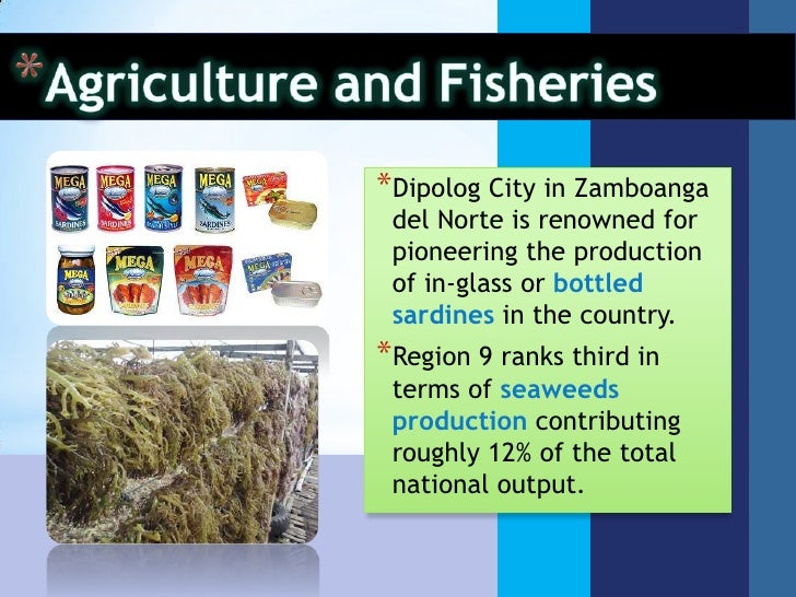 Region 9 zamboanga peninsula