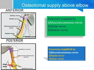 Osteotomal supply above elbow 
Anteriorly supplied by 
1)Musculocutaneous nerve 
2)Radial nerve 
3)Median nerve 
MMeeddiiaann nneerrvvee 
UUllnnaarr 
nneerrvvee 
Posteriorly supplied by 
1)Musculocutaneous nerve 
2)Radial nerve 
3)Ulnar nerve 
 
