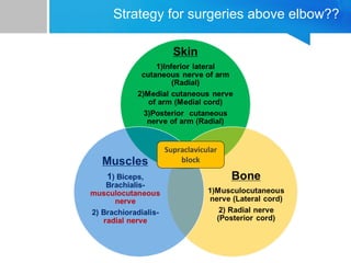 Strategy for surgeries above elbow?? 
Supraclavicular 
block 
 
