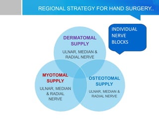 REGIONAL STRATEGY FOR HAND SURGERY.. 
INDIVIDUAL 
NERVE 
BLOCKS 
 