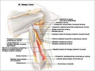 Regional anaesthesia strategies for upper limb surgeries