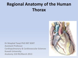 Regional Anatomy of the Human
Thorax
Dr Maqdad Taaqi PhD RRT BSRT
Assistant Professor
Cardiopulmonary & Cardiovascular Sciences
Kuwait University
Anatomy 210 RS/March 2013
 