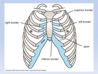 Regional anatomy of the human thorax rs-2011 | PDF
