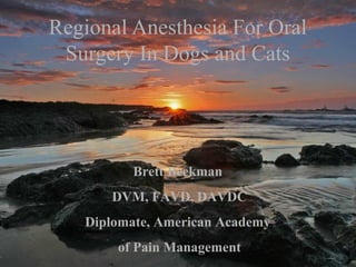 Regional Anesthesia For Oral
Surgery In Dogs and Cats
Brett Beckman
DVM, FAVD, DAVDC
Diplomate, American Academy
of Pain Management
 