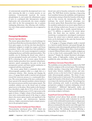 Regional Anesthesia For Spine Surgery 1 Pdf