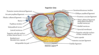 Ligamentous Injuries Around Knee by Dr Arun C Raj, Ortho Resident, KIMS Hubli