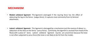MECHANISM
• Medial collateral ligament: This ligament is damaged if the injuring force has the effect of
abducting the leg on the femur (valgus force). It ruptures most commonly from its femoral
attachment.
• Lateral collateral ligament: This ligament is damaged by a mechanism just the reverse of above i.e.,
adduction of the tibia on the femur (varus force). Commonly, the ligament is avulsed from head of the
fibula with a piece of bone. Lateral collateral ligament injuries are uncommon because the knee
is not often subjected to varus force (the knee is not likely to be hit from the inside).
 