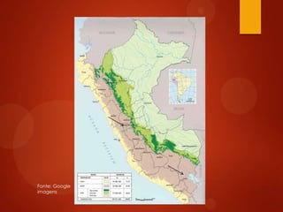 Fonte: Google
imagens
 