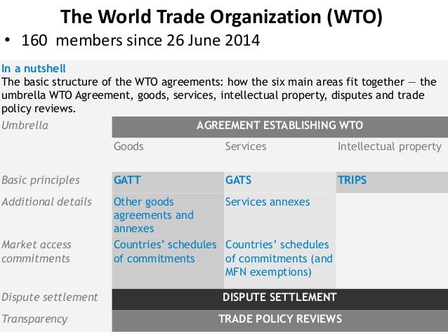 Basic principles of multilateral trading system
