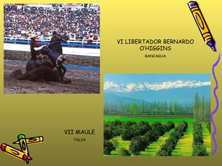 VI LIBERTADOR BERNARDO O’HIGGINS RANCAGUA VII MAULE TALCA 