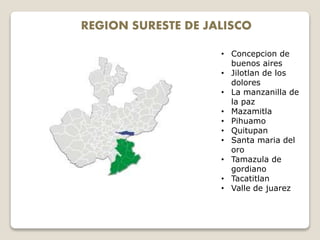REGION SURESTE DE JALISCO
• Concepcion de
buenos aires
• Jilotlan de los
dolores
• La manzanilla de
la paz
• Mazamitla
• Pihuamo
• Quitupan
• Santa maria del
oro
• Tamazula de
gordiano
• Tacatitlan
• Valle de juarez
 