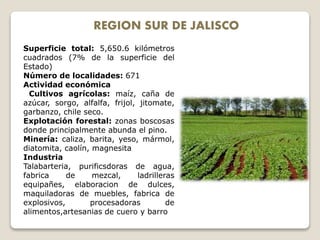 REGION SUR DE JALISCO
Superficie total: 5,650.6 kilómetros
cuadrados (7% de la superficie del
Estado)
Número de localidades: 671
Actividad económica
Cultivos agrícolas: maíz, caña de
azúcar, sorgo, alfalfa, frijol, jitomate,
garbanzo, chile seco.
Explotación forestal: zonas boscosas
donde principalmente abunda el pino.
Minería: caliza, barita, yeso, mármol,
diatomita, caolín, magnesita
Industria
Talabarteria, purificsdoras de agua,
fabrica de mezcal, ladrilleras
equipañes, elaboracion de dulces,
maquiladoras de muebles, fabrica de
explosivos, procesadoras de
alimentos,artesanias de cuero y barro
 