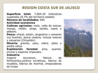 REGION COSTA SUR DE JALISCO
Superficie total: 7,004.39 kilómetros
cuadrados (8.7% del territorio estatal)
Número de localidades: 694
Actividad económica
Cultivos agrícolas: maíz, caña de azúcar,
mango, melón, sorgo, sandía, copra y
plátano.
Pesca: charal, ostión, langostino y camarón
(La Huerta); pesca costera, incluye esteros
y estuarios (Cihuatlán).
Minería: granito, yeso, cobre, plata y
piedra caliza
Explotación forestal: pino, oyamel,
encino y especies tropicales.
Industria
Ingenio azucarero, fabrica de
fertilizantes,centros turistticos, fabrica de
muebles, fabrica de marmol, empacadoras
de frutas
 