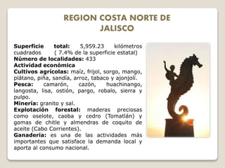 REGION COSTA NORTE DE
JALISCO
Superficie total: 5,959.23 kilómetros
cuadrados ( 7.4% de la superficie estatal)
Número de localidades: 433
Actividad económica
Cultivos agrícolas: maíz, frijol, sorgo, mango,
plátano, piña, sandía, arroz, tabaco y ajonjolí.
Pesca: camarón, cazón, huachinango,
langosta, lisa, ostión, pargo, robalo, sierra y
pulpo.
Minería: granito y sal.
Explotación forestal: maderas preciosas
como oselote, caoba y cedro (Tomatlán) y
gomas de chitle y almendras de coquito de
aceite (Cabo Corrientes).
Ganadería: es una de las actividades más
importantes que satisface la demanda local y
aporta al consumo nacional.
 