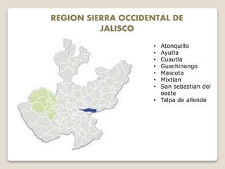 REGION SIERRA OCCIDENTAL DE
JALISCO
• Atenquillo
• Ayutla
• Cuautla
• Guachinango
• Mascota
• Mixtlan
• San sebastian del
oeste
• Talpa de allende
 
