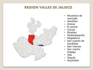 REGION VALLES DE JALISCO
• Ahualulco de
mercado
• Amatitan
• Ameca
• El arenal
• Cocula
• Etzatlan
• Hostotipaquillo
• Magdalena
• San juanito de
escobedo
• San marcos
• San martin
hidalgo
• Tala
• Tequila
• Teuchitlan
 