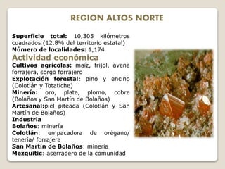 REGION ALTOS NORTE
Superficie total: 10,305 kilómetros
cuadrados (12.8% del territorio estatal)
Número de localidades: 1,174
Actividad económica
Cultivos agrícolas: maíz, frijol, avena
forrajera, sorgo forrajero
Explotación forestal: pino y encino
(Colotlán y Totatiche)
Minería: oro, plata, plomo, cobre
(Bolaños y San Martín de Bolaños)
Artesanal:piel piteada (Colotlán y San
Martín de Bolaños)
Industria
Bolaños: minería
Colotlán: empacadora de orégano/
tenería/ forrajera
San Martín de Bolaños: minería
Mezquitic: aserradero de la comunidad
 